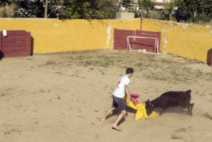 parrillada durante la capea de la despedida